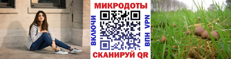 Галлюциногенные грибы GOLDEN TEACHER  купить наркоту  Калтан 