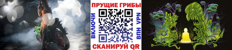 Галлюциногенные грибы Magic Shrooms Калтан